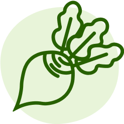 radish icon