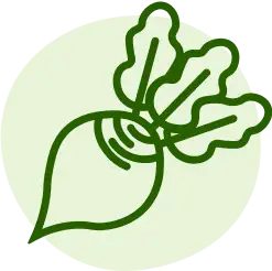 radish icon